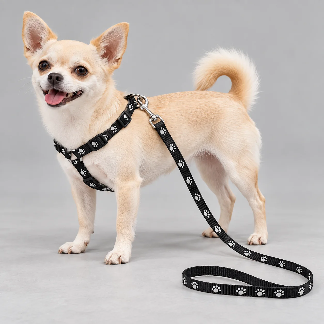 Paw Print Dog Harness and Leash Set — on-pet product visualization
