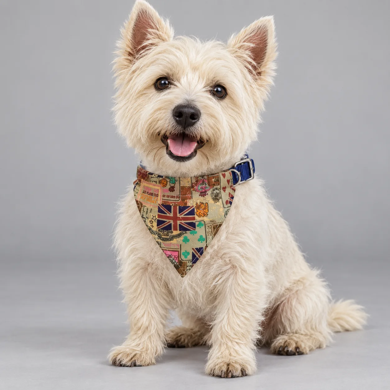 Pet Bandana and Bow Tie Collar Accessories — on-pet product visualization