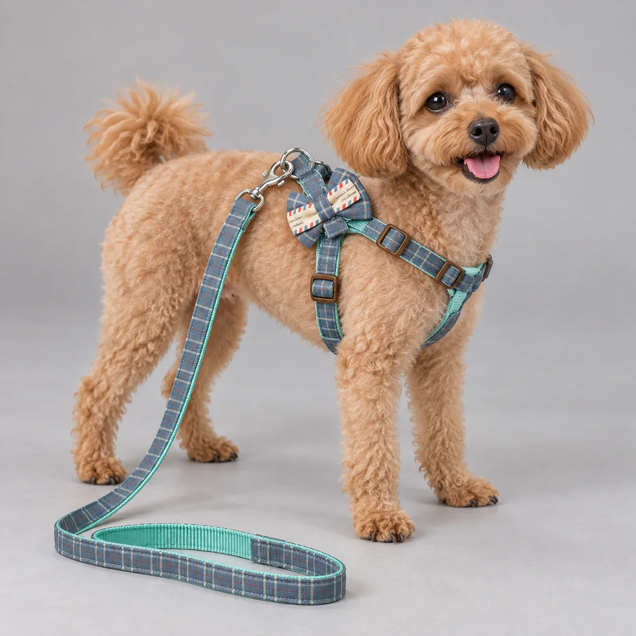 Plaid Bow Tie Dog Harness and Leash Set — on-pet product visualization