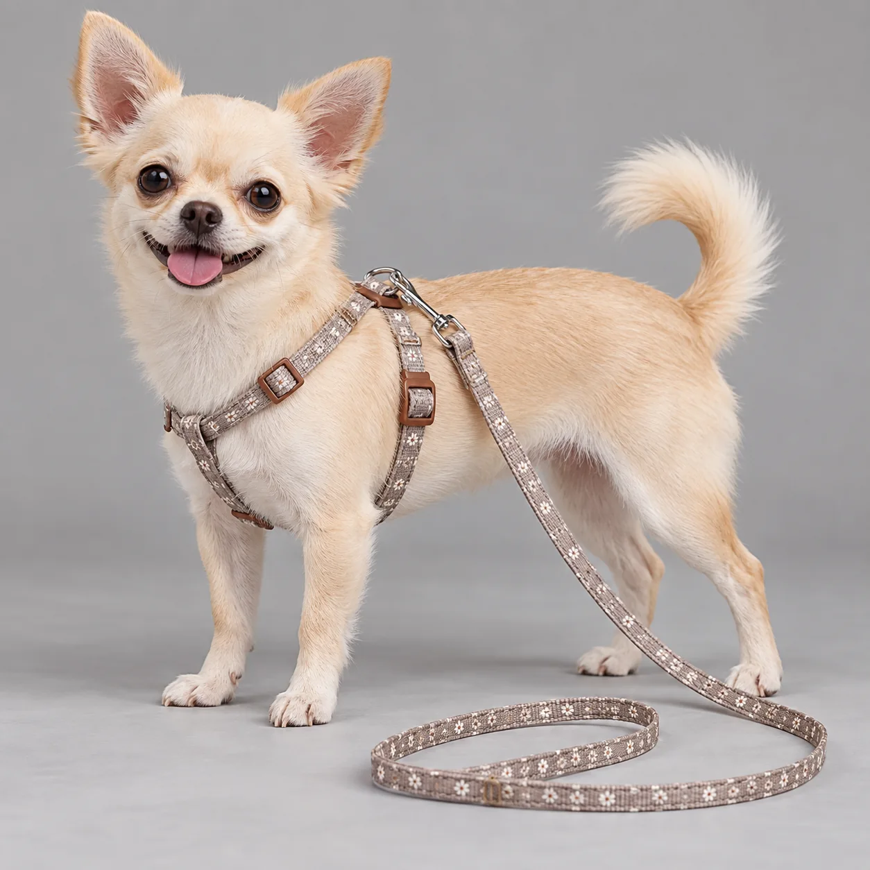 Polka Dot Dog Harness and Leash Set — on-pet product visualization