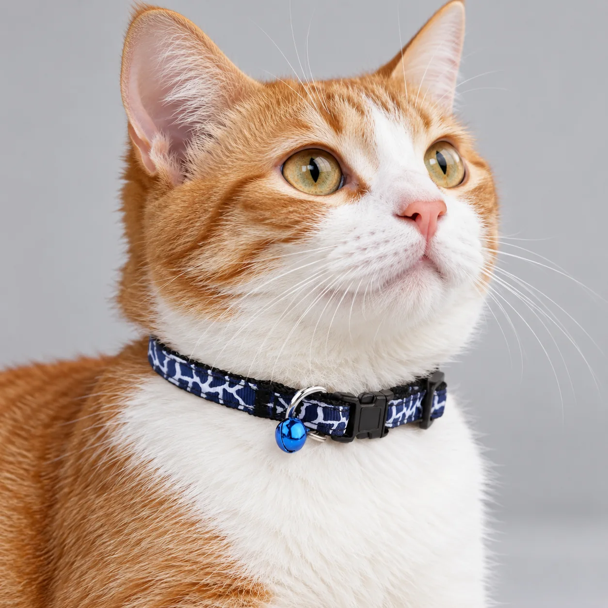 Printed Bell Pet Collar — on-pet product visualization