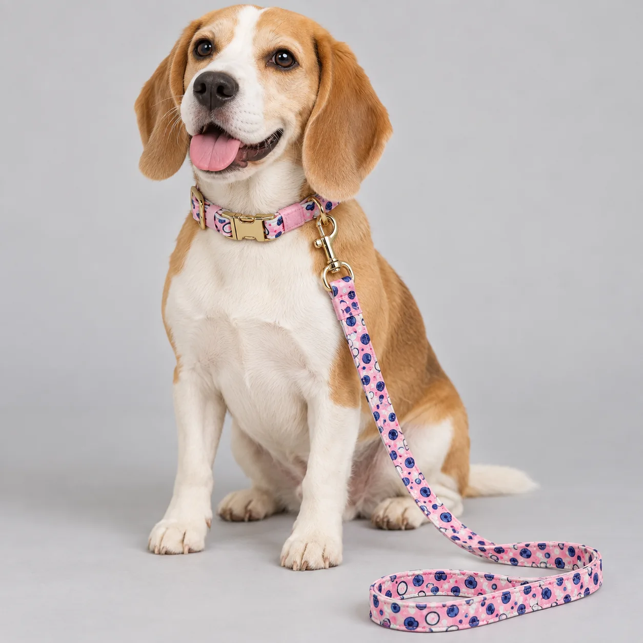 Printed Dog Collar and Leash Set — on-pet product visualization