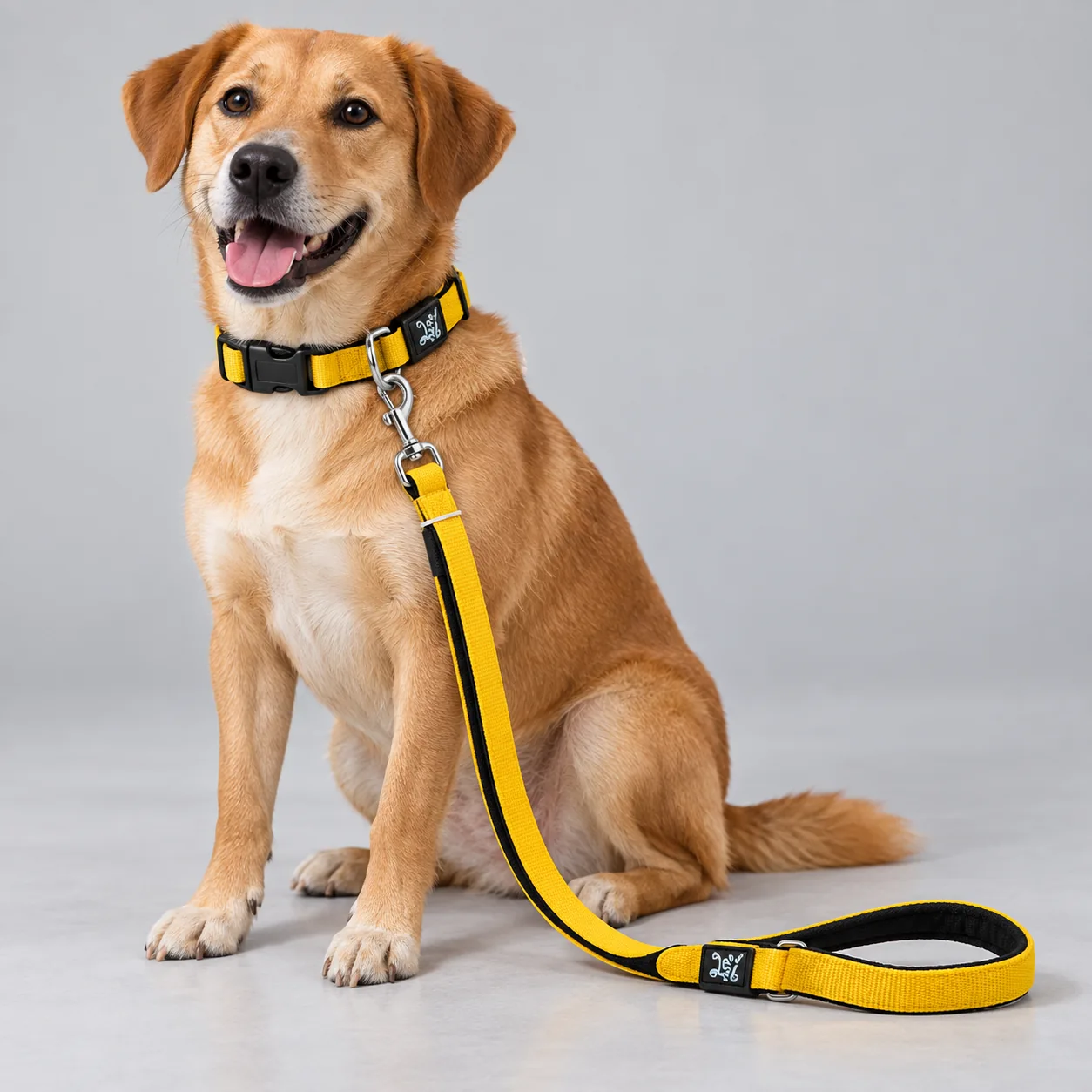 Soft Padded Dog Collar and Leash Set — on-pet product visualization
