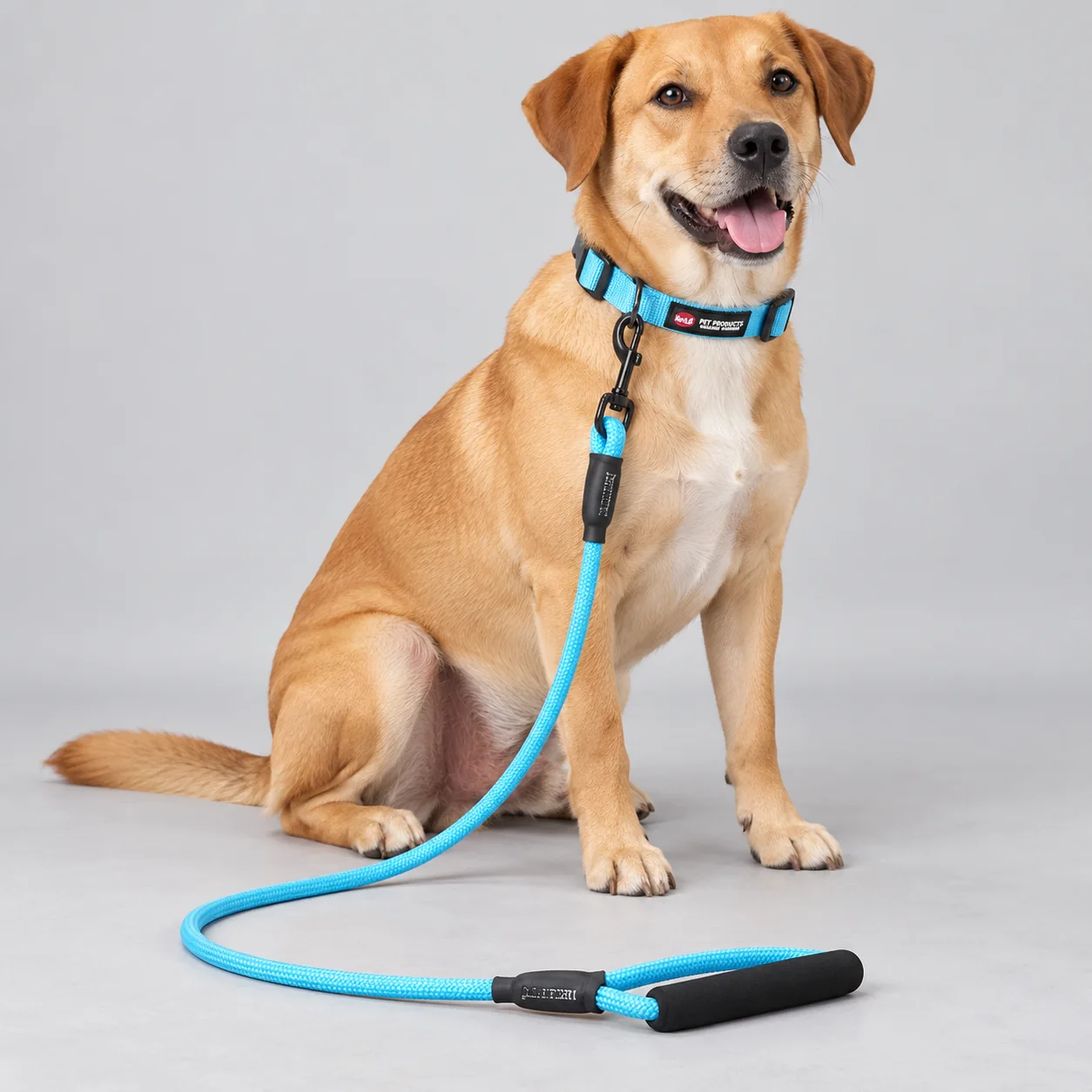 Solid Collar and Rope Leash Set — on-pet product visualization