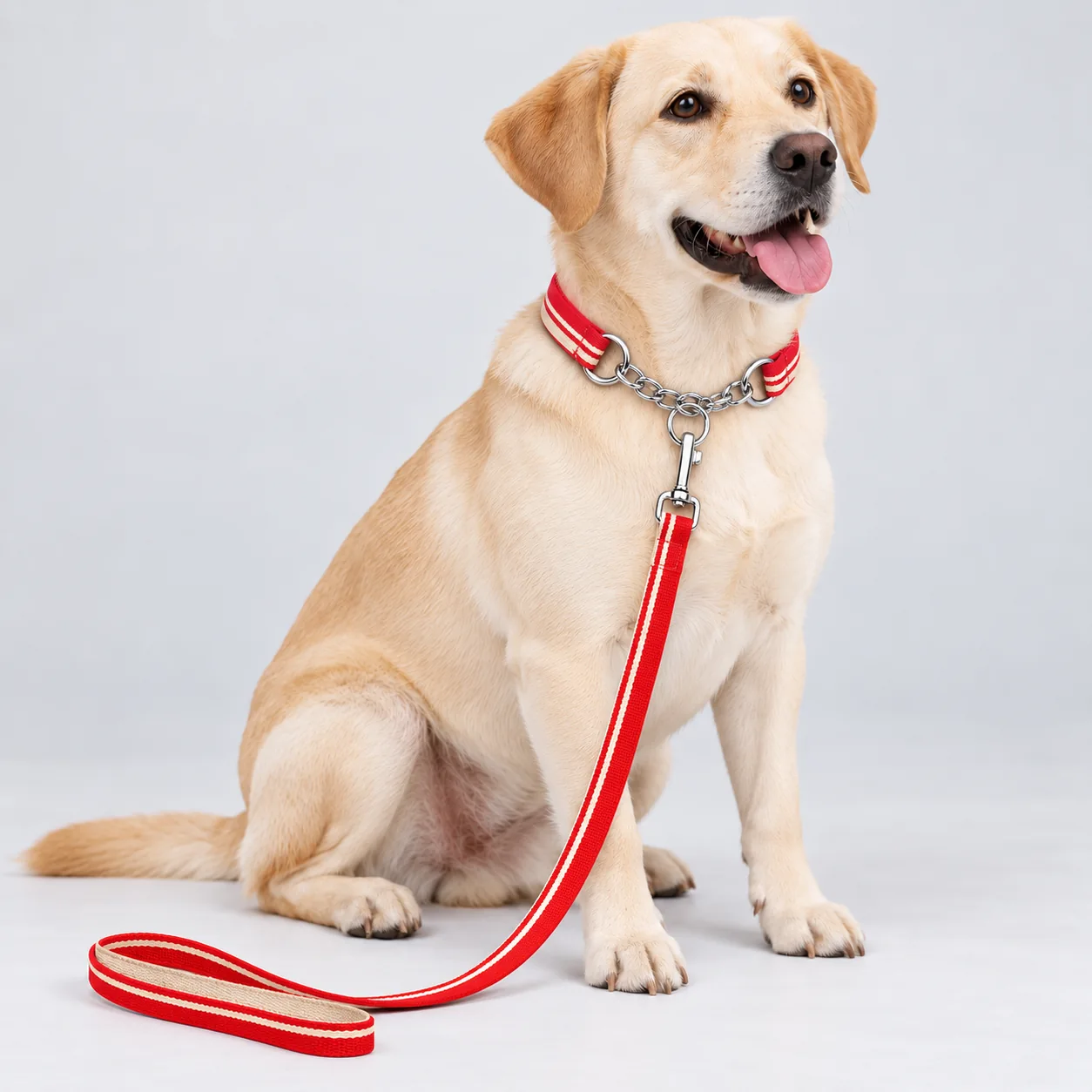 Striped Chain Martingale Collar and Leash Set — on-pet product visualization