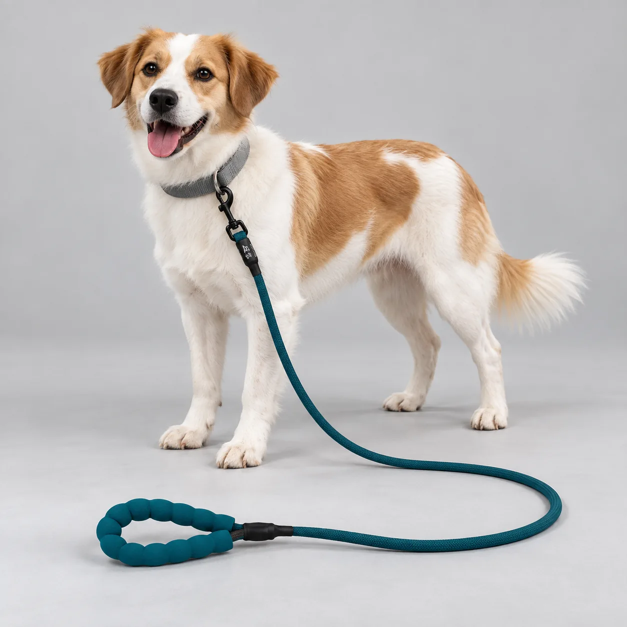 Textured Foam Grip Rope Dog Leash — on-pet product visualization