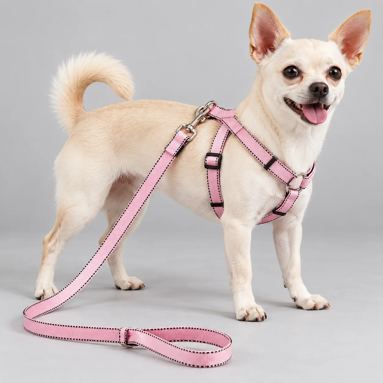 Twill Webbing Dog Harness and Leash Set — on-pet product visualization