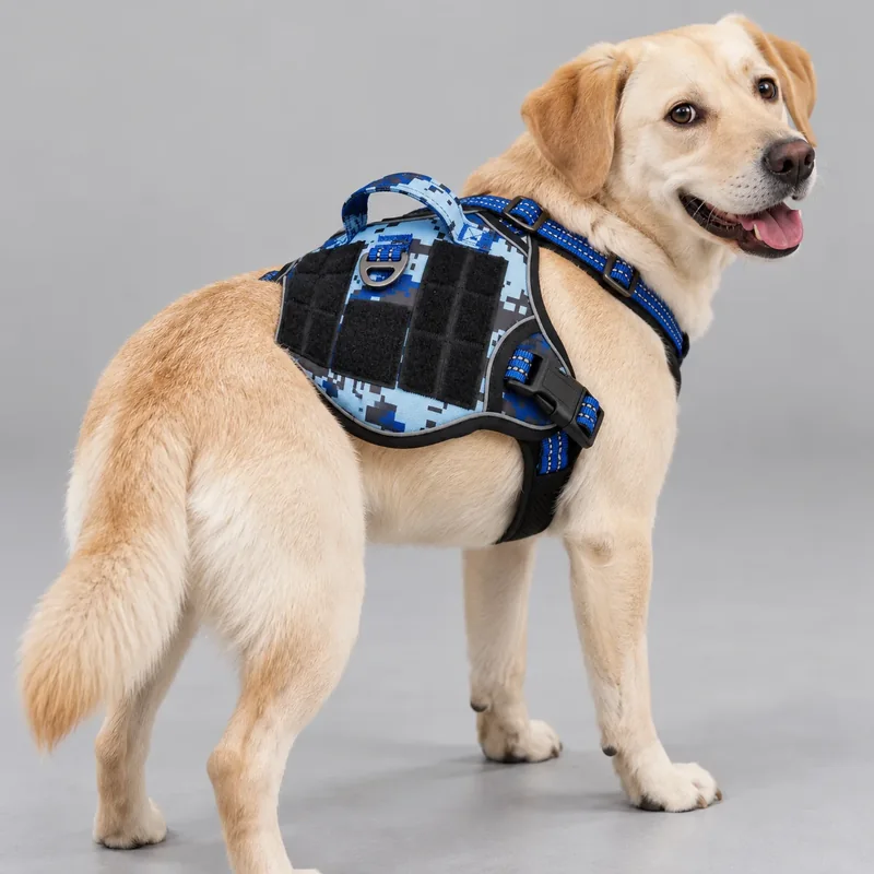 Blue Digital Camo Tactical Dog Harness — on-pet product visualization