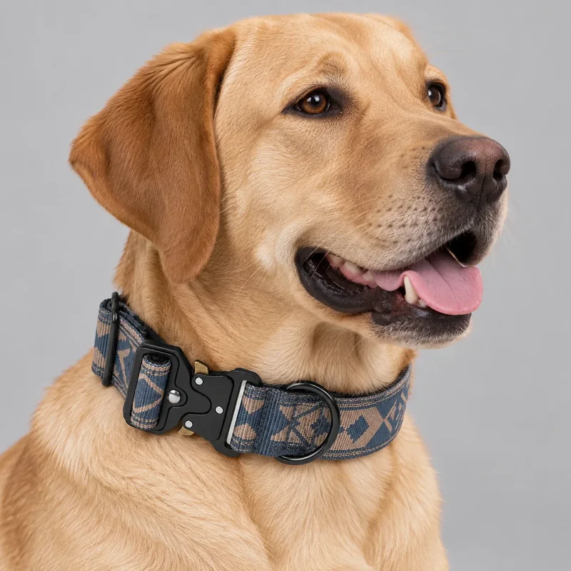 Blue Geometric Tactical — on-pet product visualization