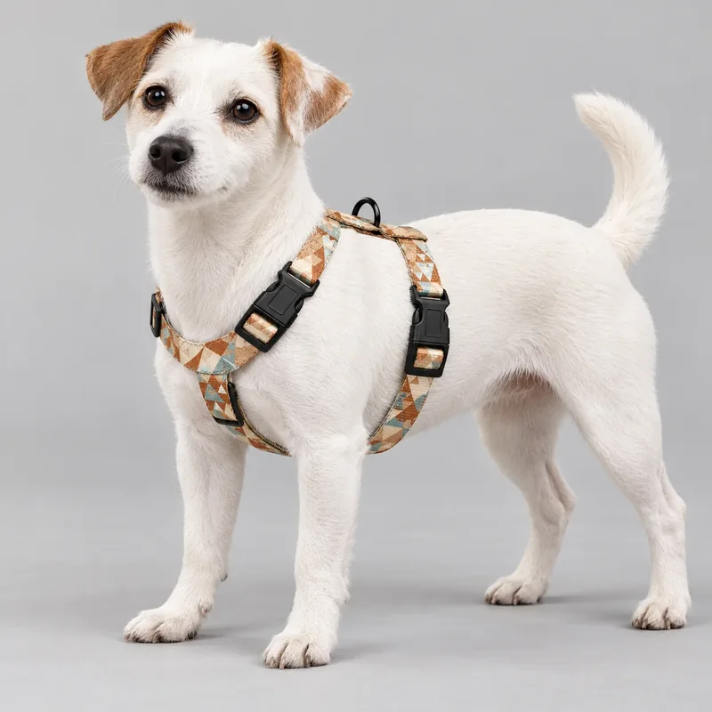 Geometric Step-In Harness — on-pet product visualization