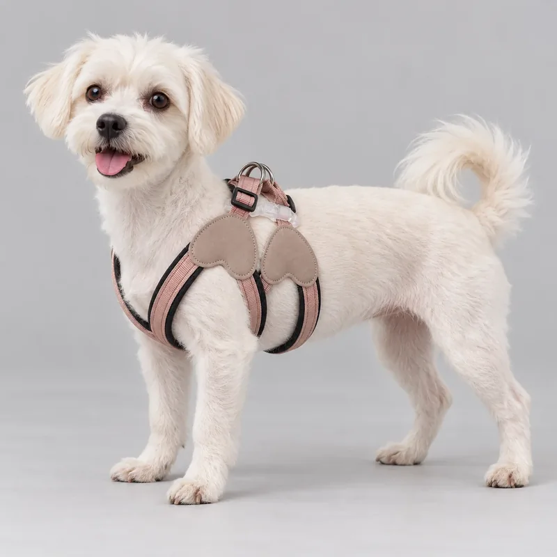 Pink Padded Y-Shape Harness — on-pet product visualization