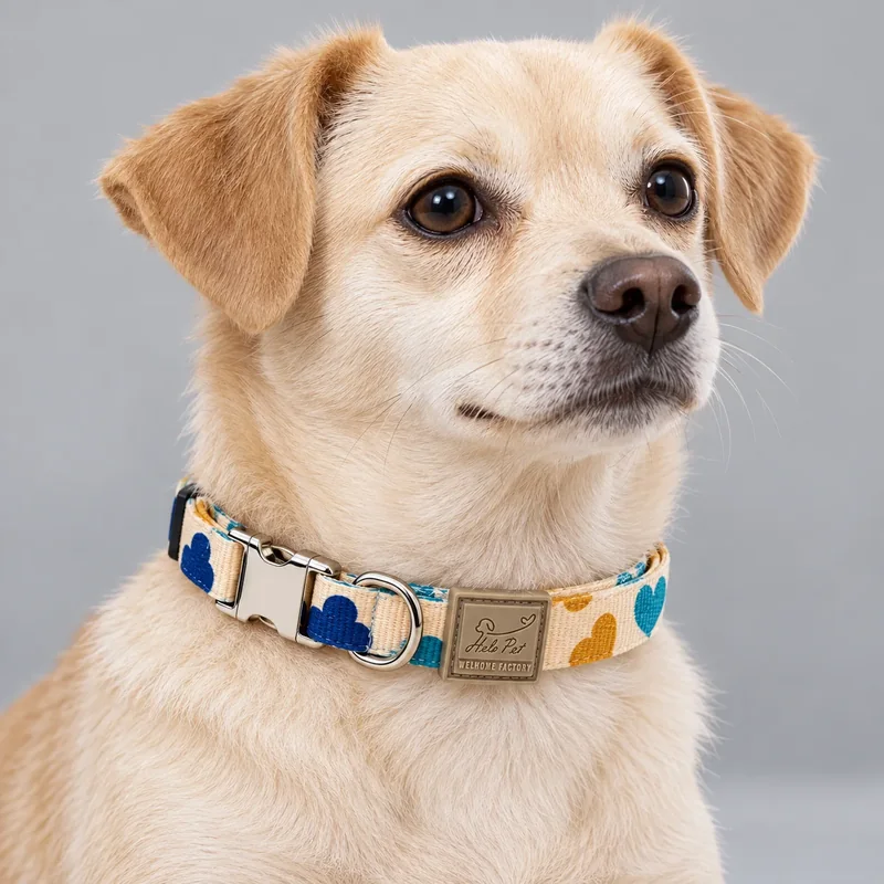 Printed Metal Buckle Dog Collar — on-pet product visualization