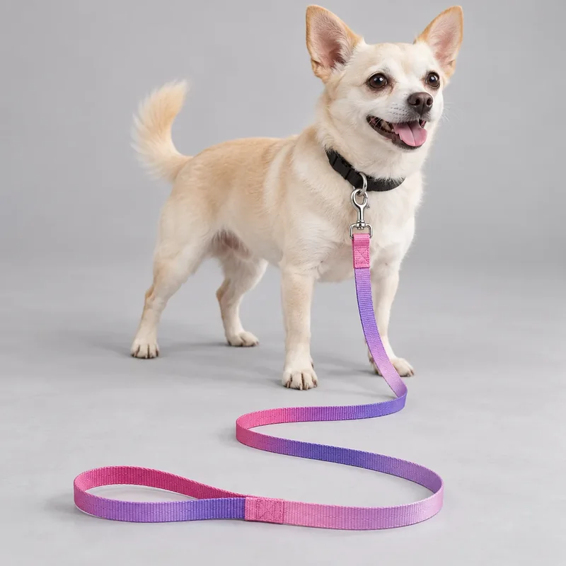 Pink–Purple Gradient Dog Leash — on-pet product visualization