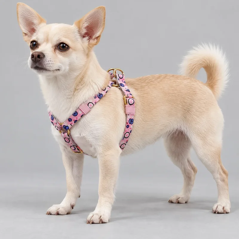 Printed Metal Buckle Dog Harness — on-pet product visualization