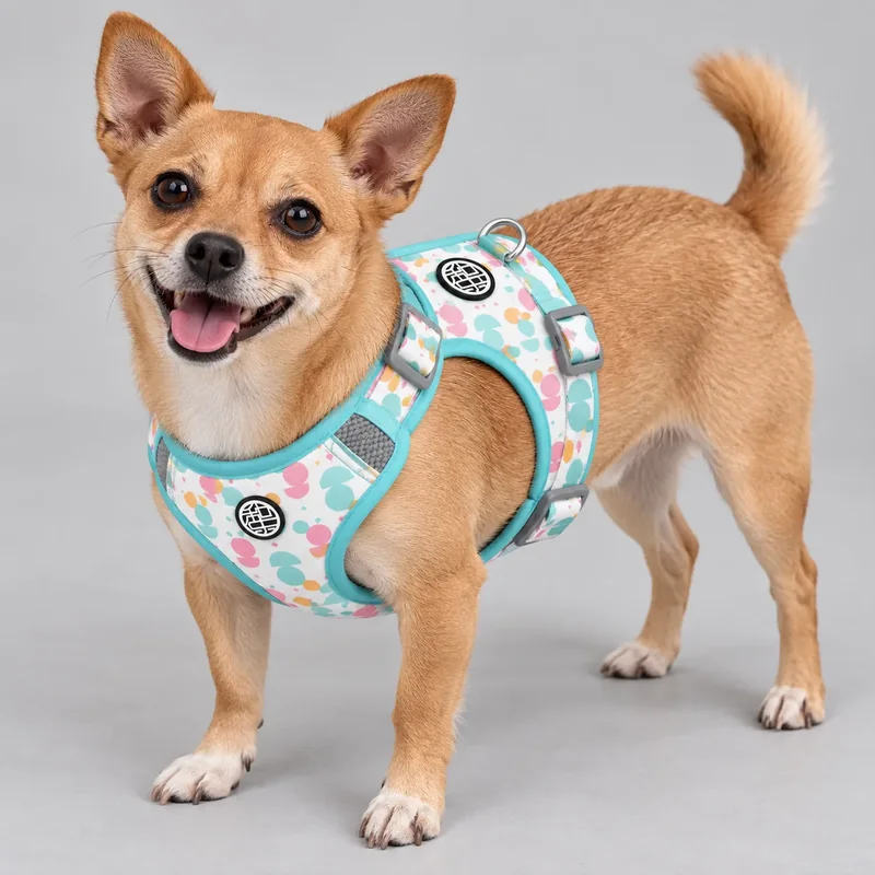 Printed Padded Adjustable Dog Harness — on-pet product visualization