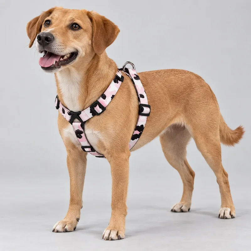 Cartoon and Holiday Printed Dog Harness — on-pet product visualization