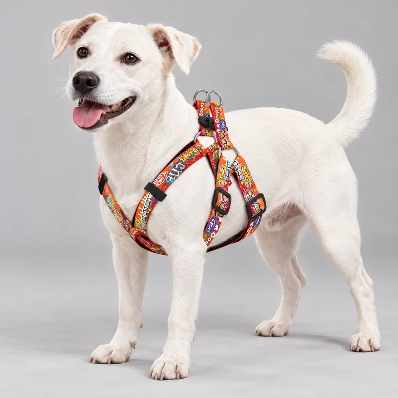 Graffiti Print Adjustable Dog Harness — on-pet product visualization
