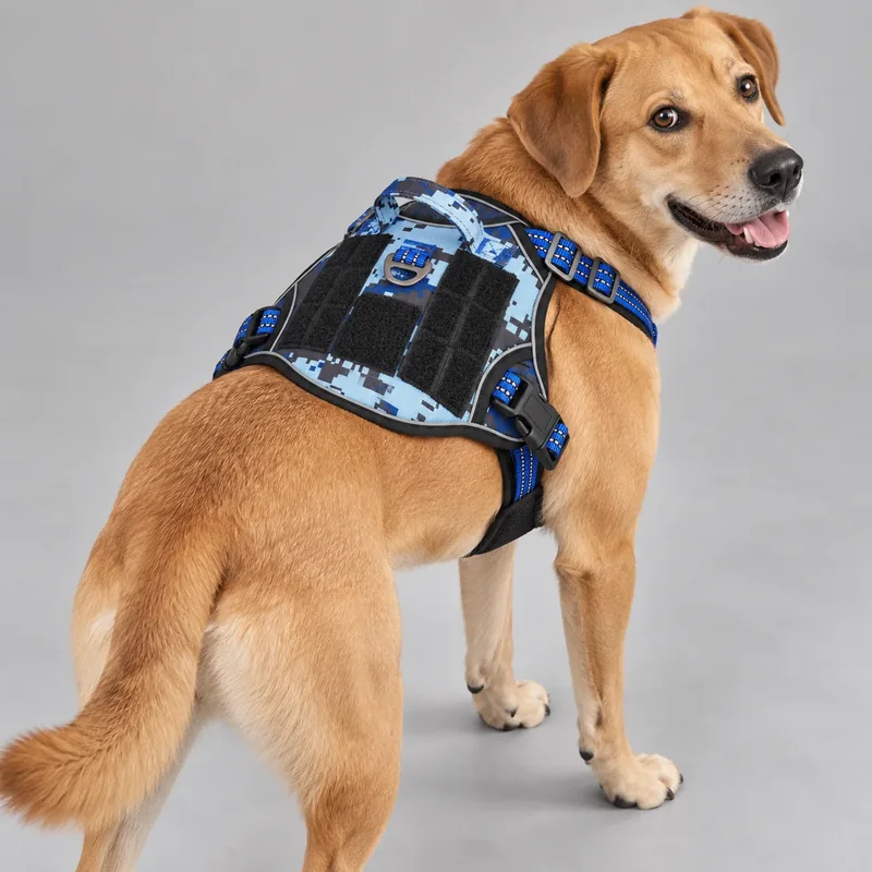 Tactical-Style Reflective Dog Harness — on-pet product visualization